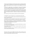 El proceso de internacionalización de la empresa mango