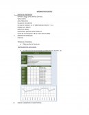 Informe psicologico Observación de Conducta