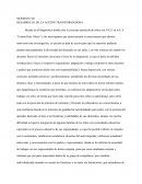 Desarrollo de la acción transformadora