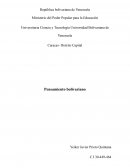 Pensamiento bolivariano