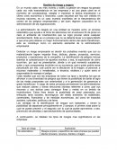 Gestión de riesgo y seguro