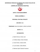 SUPPLY CHAIN empresa Inversiones plastic S&R SAC