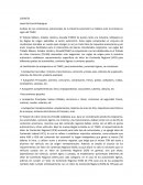 Análisis de las condiciones estructurales de la industria automotriz en México ante la entrada en vigor del T-MEC
