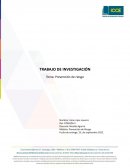 Trabajo de investigación Prevención de Riesgos Laboral
