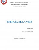 Energía de La vida