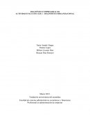 Evaluativa eje 2 diagniostico , empresa Redetrans