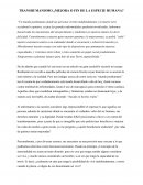 Transhumanismo ¿Mejora o fin de la especie humana?