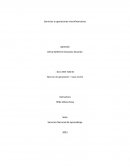 Ejercicio de apropiación – Caso escrito