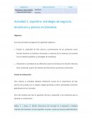 Superbrix: estrategia de negocios, dinamismo y precios en Colombia