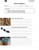 ¿Cómo obtiene energía la lombriz?