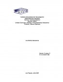 Trámites Y Procedimientos Aduaneros