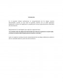 Comportamiento de las abejas