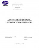 Relación que existe entre las organizaciones con respecto a la situación actual de la fisioterapia