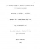 Reseña articulo sobre problematicas de delimitacion de suelos