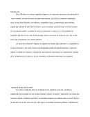 Informe : un país alcance de los niños