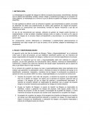 Apoyo proyecto , gestión de riesgos