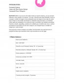 Trabajo grupal. Plan de ventas