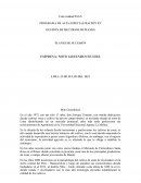 Planes de sucesión Empresa: Mito Greenhouse EIRL