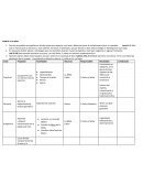 Formato planeación de actividades manos a la obra