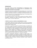 Sustentabilidad en la Organización