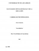 Bases Neurobiológicas del Aprendizaje