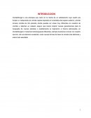 Caso: ZonderBurger´s