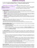 Sistema inmune