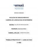 Trabajo práctico N° 1. Carro de paro