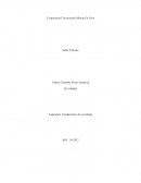 Fundamentos de sociología