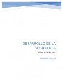 Desarrollo de la sociología