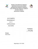 Análisis sobre políticas públicas