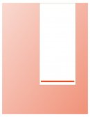 Plan de calidad y riesgos para el evento