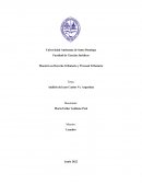 Análisis del caso Cantos Vs. Argentina