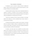 Ensayo Conductismo y Neoconductismo