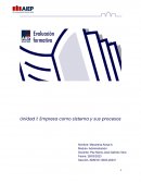 Empresa como sistema y sus procesos