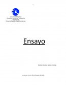 Ensayo socio culltural