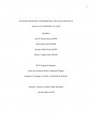 El proceso de la creación de desarrollo de software