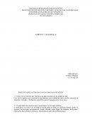 Calidad Ambiental. Ambiente y desarrollo