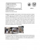 Actividad Experimental N°1 Identificación de las fases del suelo