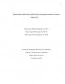 Propuesta para la fabricación de moldes de pieza de maquinaria pesada de la empresa Indumet SAS