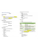 Obstrucción intestinal