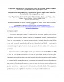 Propuesta de implementación de un sistema de control de recursos de manufactura para incrementar la productividad de la empresa Bruce S.A.C