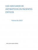 Uso adecuado de antibioticos en pacientes criticos
