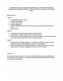 Monografia estategias didacticas de lenguaje y comunicacion