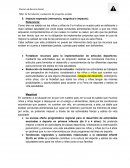 Impacto esperado (relevancia, magnitud e impacto)