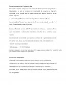 Barreras arancelarias Cochayuyo Jam