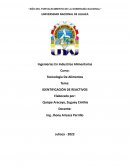 Práctica N°1 Identificación de reactivos