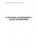 Plan anual de seguridad y salud ocupacional