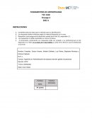Fundamentos de antropología