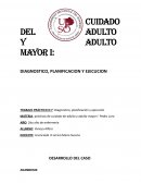 Diagnostico, planificación y ejecución